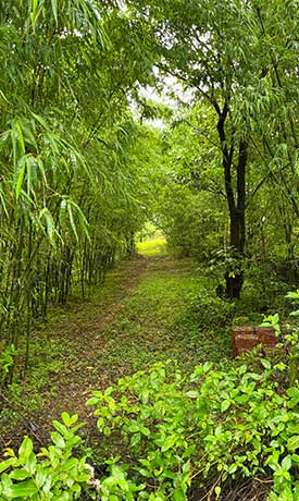 Mankani Agro estates home page desktop banner 4-1