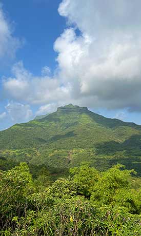 Mankani Agro estates home page desktop banner 4-2