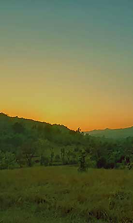 Mankani Agro estates home page desktop banner 4-4