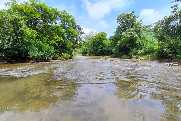 Mankani Agro estates home page desktop inner banner 2