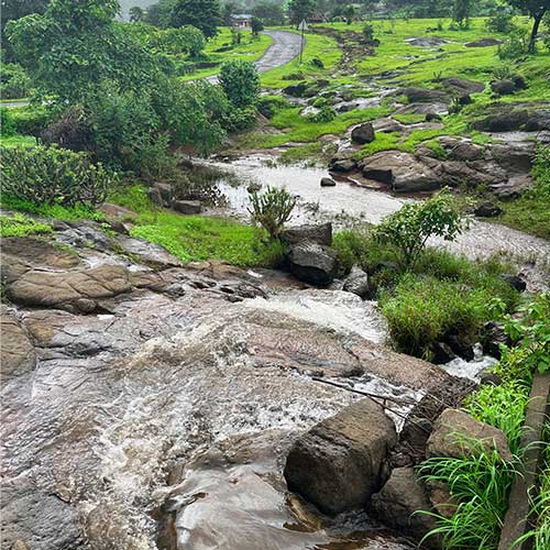 Gallery section of Mankani Agro Estates